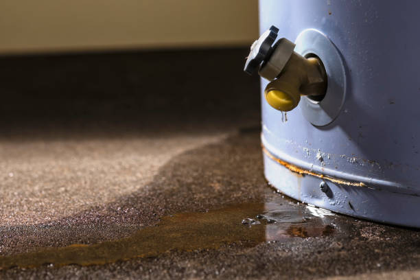 Best Professional water damage repair  in Palmyra, MO