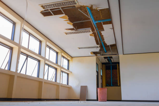 Best Basement water damage restoration  in Palmyra, MO