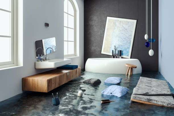 Best Water damage contractors near me  in Palmyra, MO