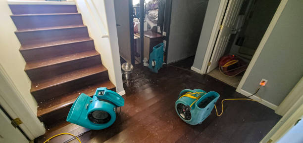  Palmyra, MO Water damage restoration Pros