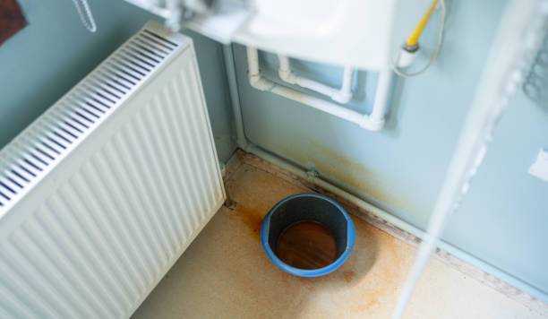 Best Professional water damage repair  in Palmyra, MO