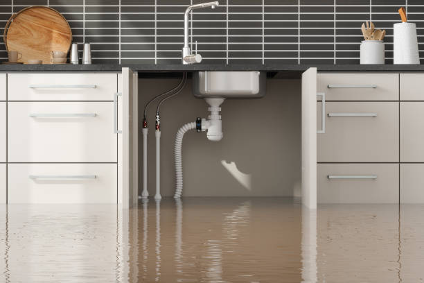 Best Basement water damage restoration  in Palmyra, MO