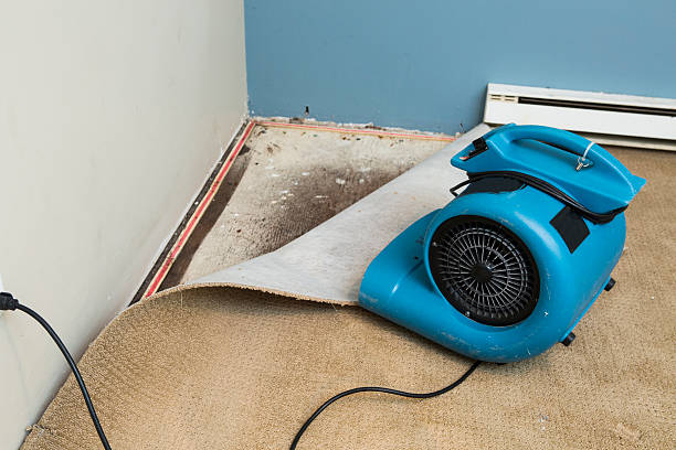 Best 24/7 water damage repair  in Palmyra, MO