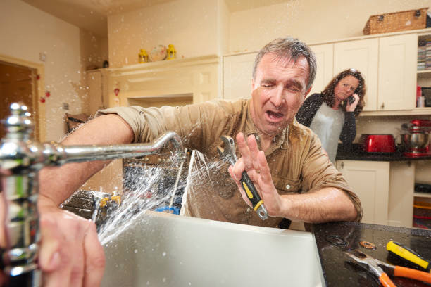 Best Flood damage cleanup  in Palmyra, MO